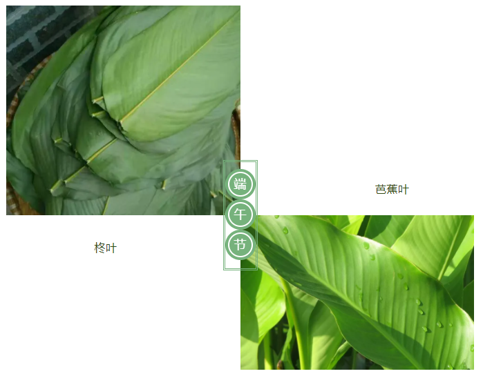 og视讯医纺