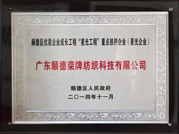 og视讯-2012年获顺德政府颁发“星光企业”称号